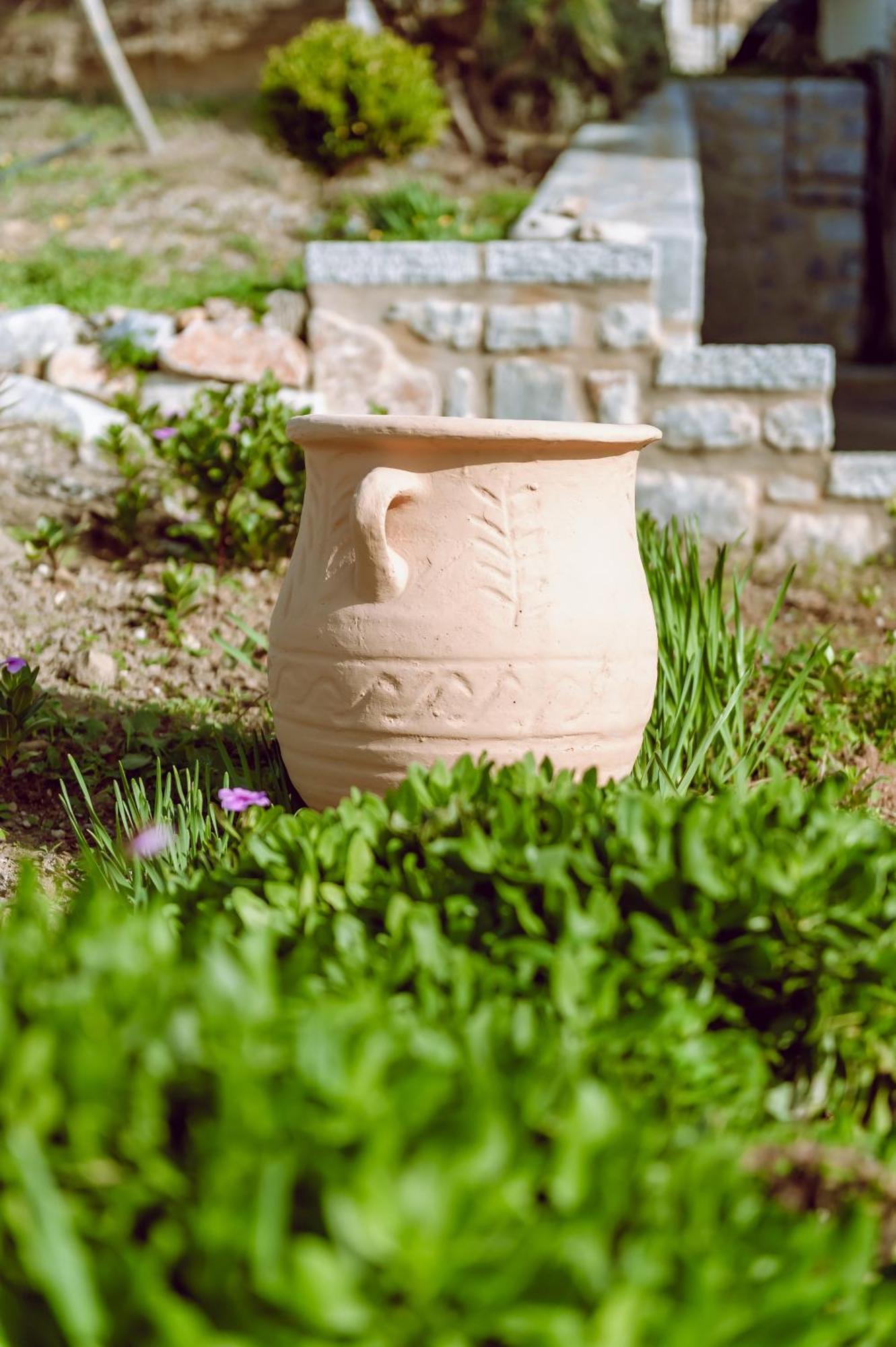 Limanaki Elia (Laconia)